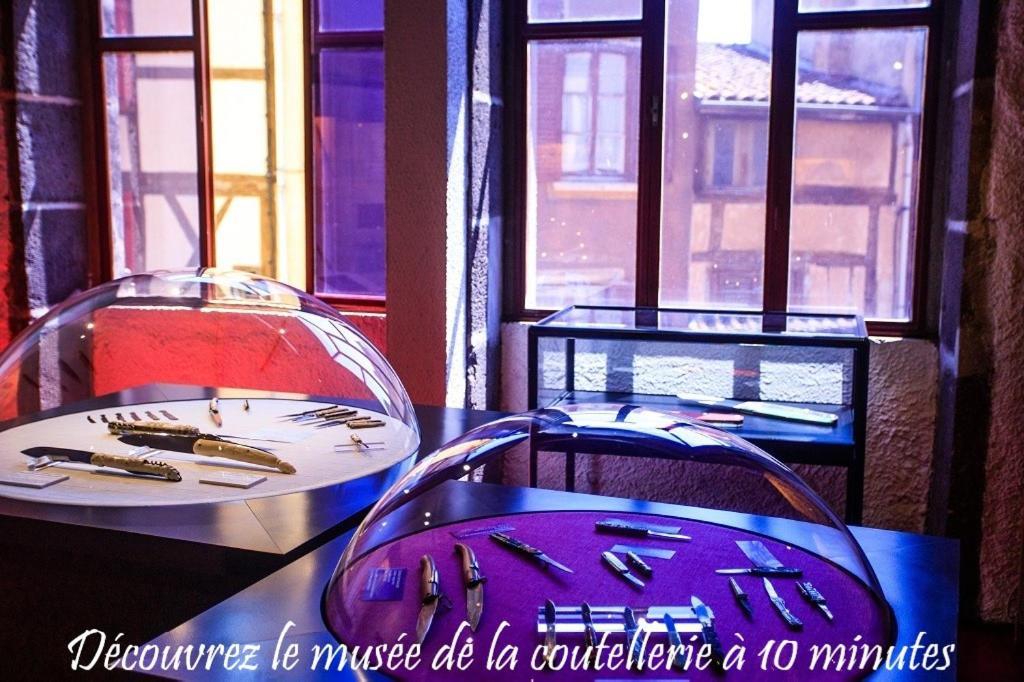 L'atelier De Mathieu Apartment Saint-Remy-sur-Durolle